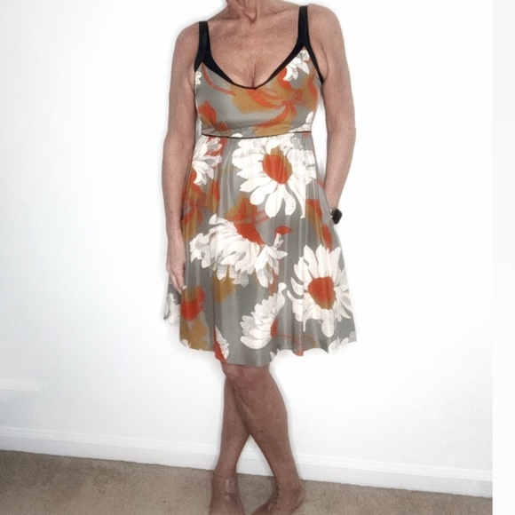 Anthropologie Moulinette Soeurs Silk Dress Empire Waist Grey Orange A-Line Fit 6 - Picture 16 of 16